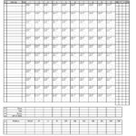 30 Printable Baseball Scoresheet Scorecard Templates TemplateLab