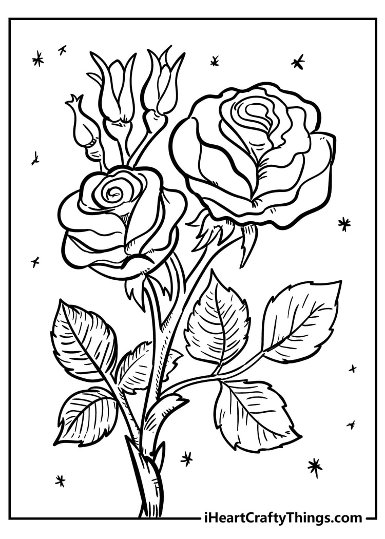flower colouring sheets printable
