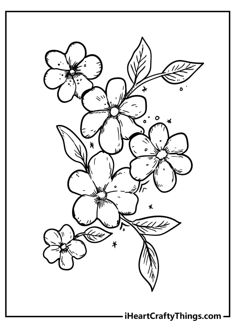 printable coloring sheets flowers