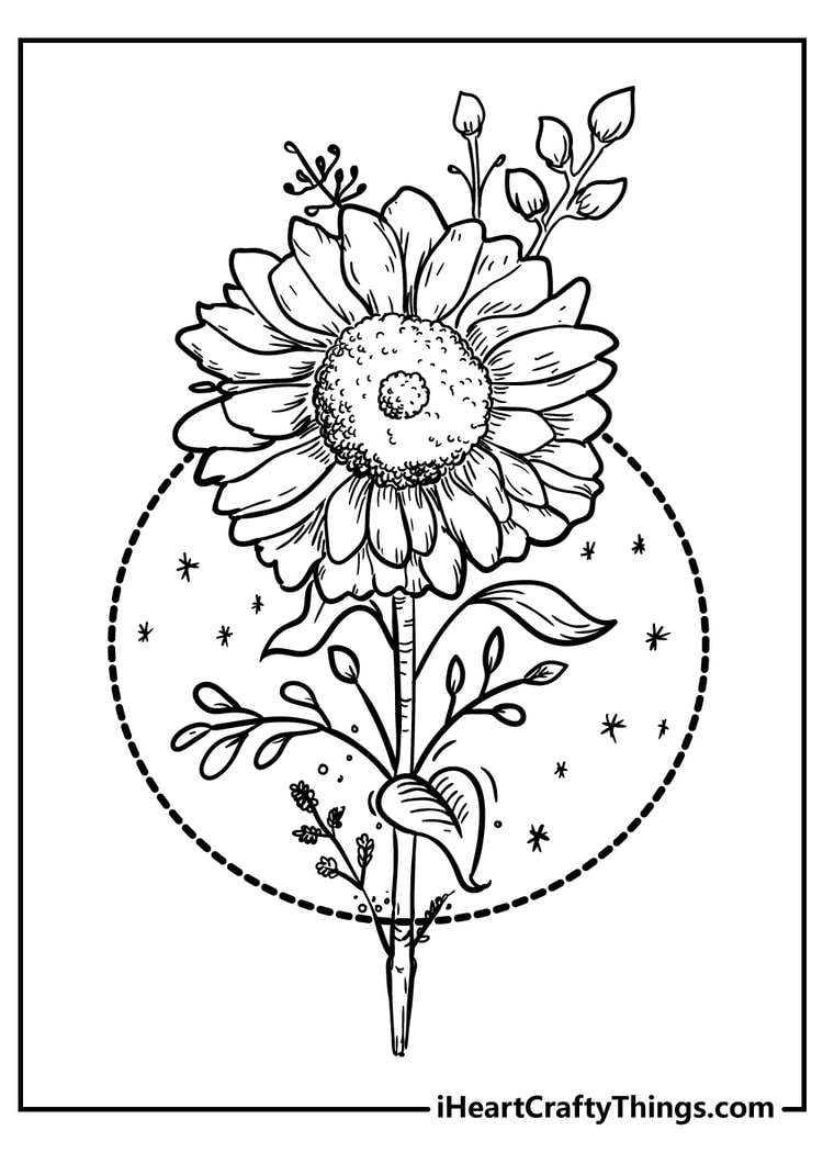 flower coloring sheets printable