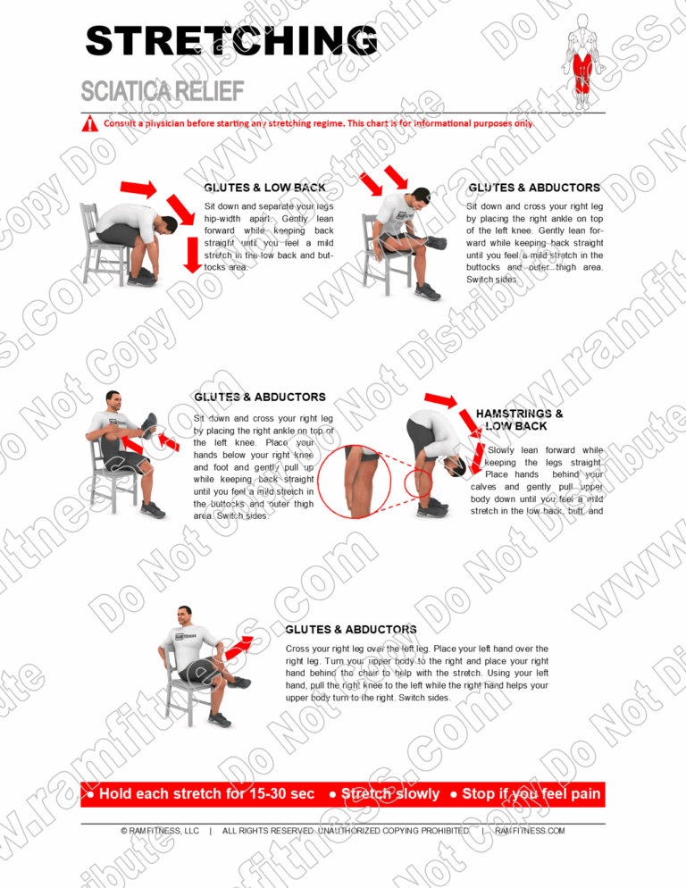 Buy Print License For Sciatica Stretching Guide Relieve Sciatic Nerve Pain With Targeted Stretches