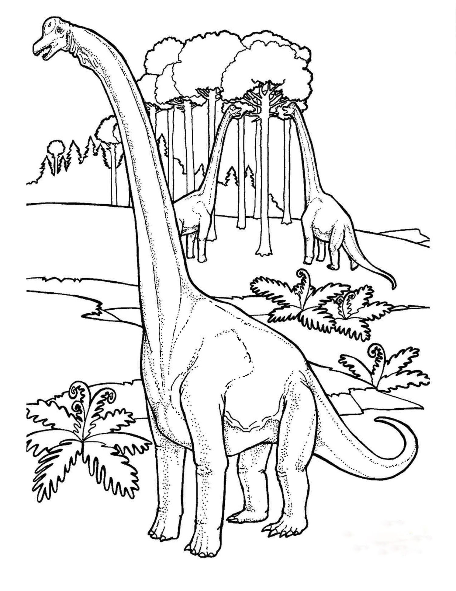 printable dinosaur coloring sheets