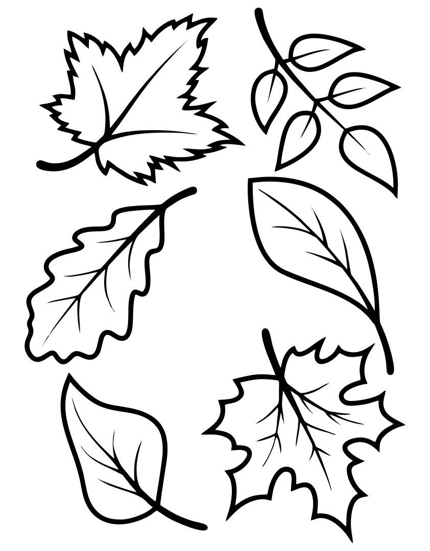 printable fall leaf templates