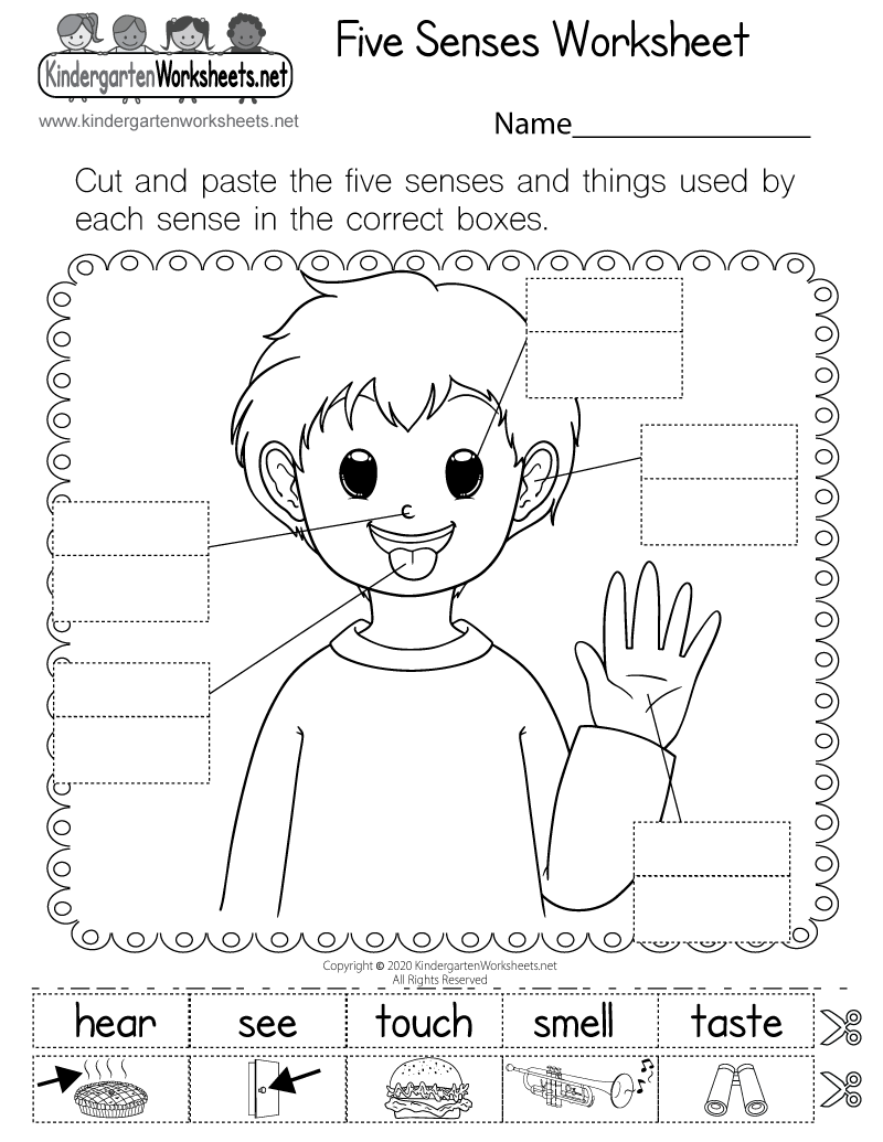 science worksheets printable