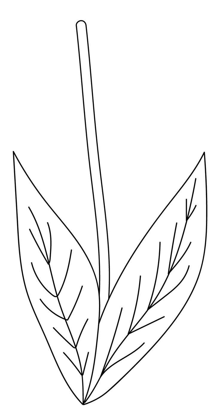 Flower Stems 12 Free PDF Printables Printablee