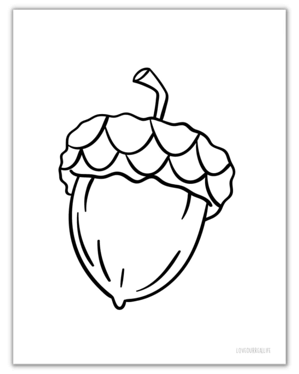 printable acorn template