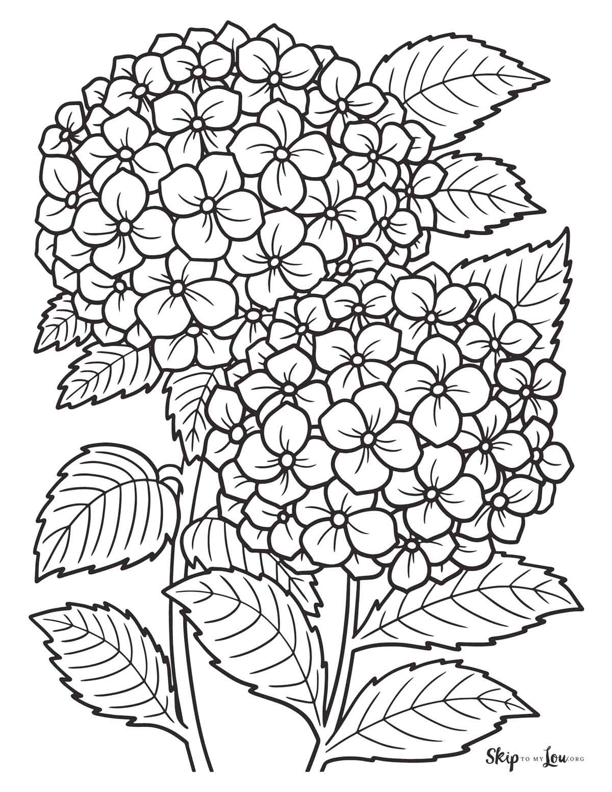printable coloring sheets of flowers