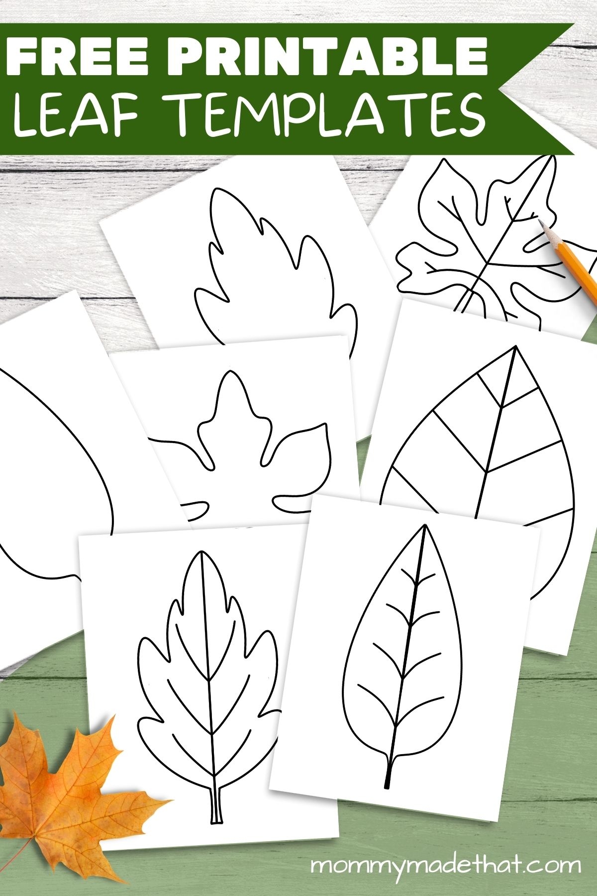 leaves printable template