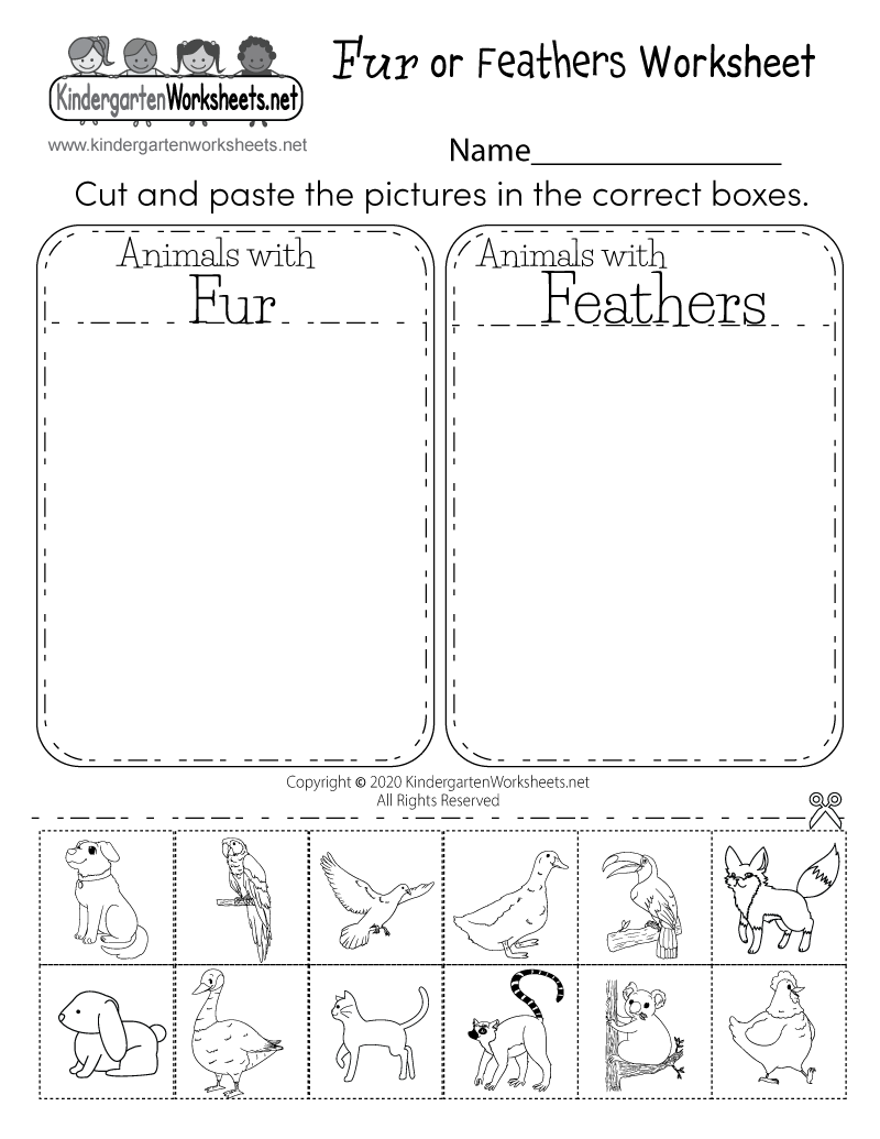 printable science worksheets