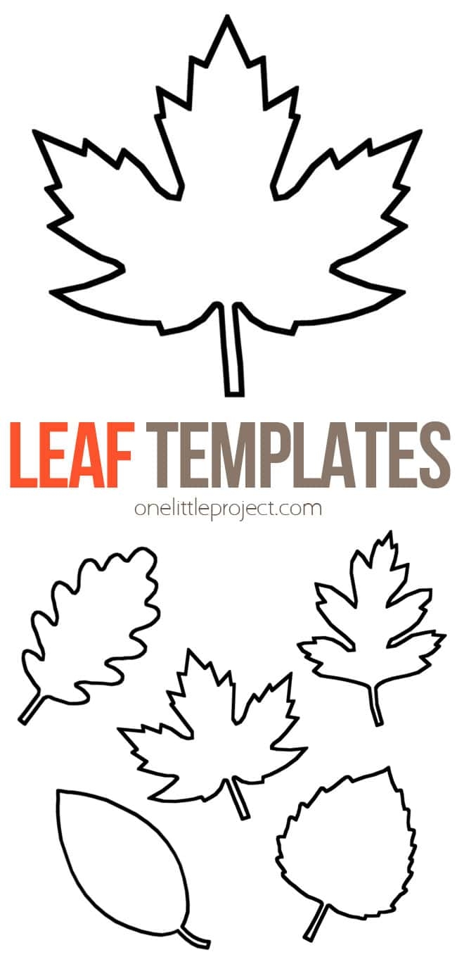 printable leaf templates