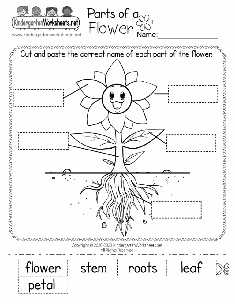 Parts Of A Flower Worksheet Free Printable Digital PDF