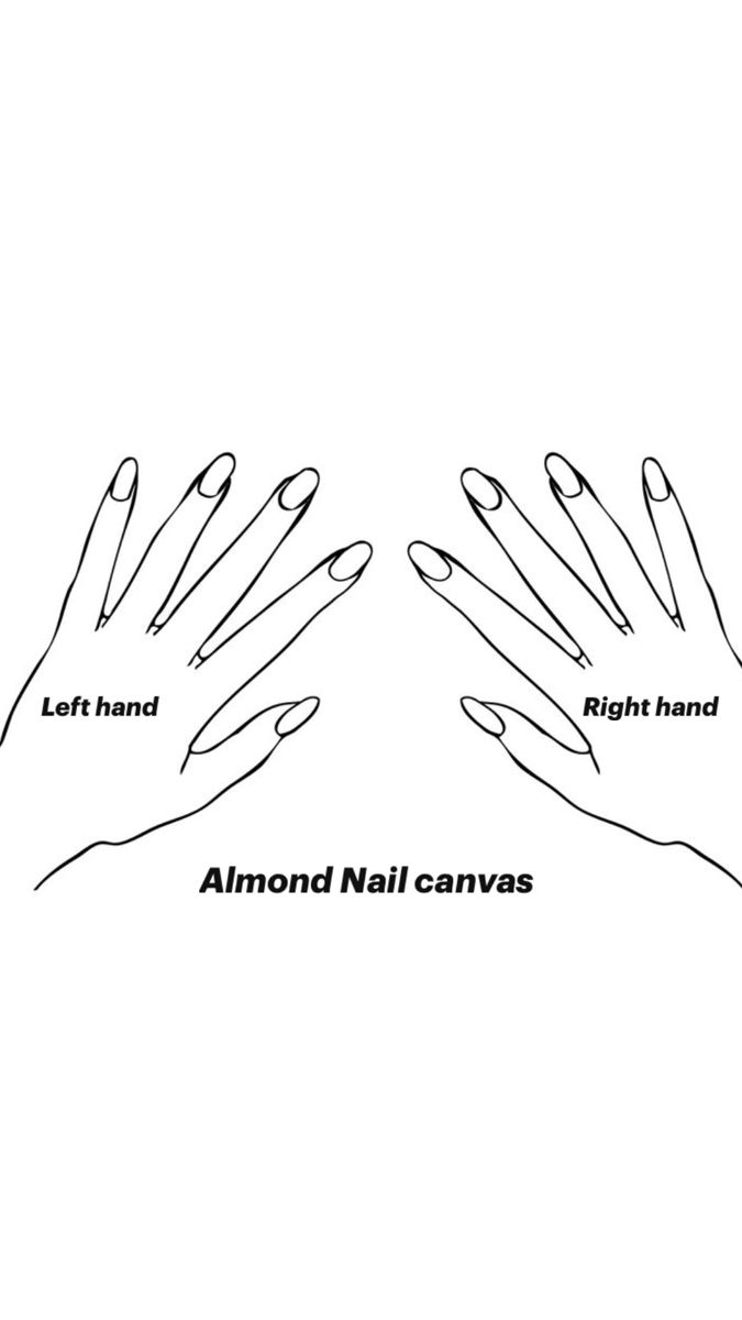 Plain Blank Almond Nail Canvas Template With Both Hands With A Black Outline And White Background