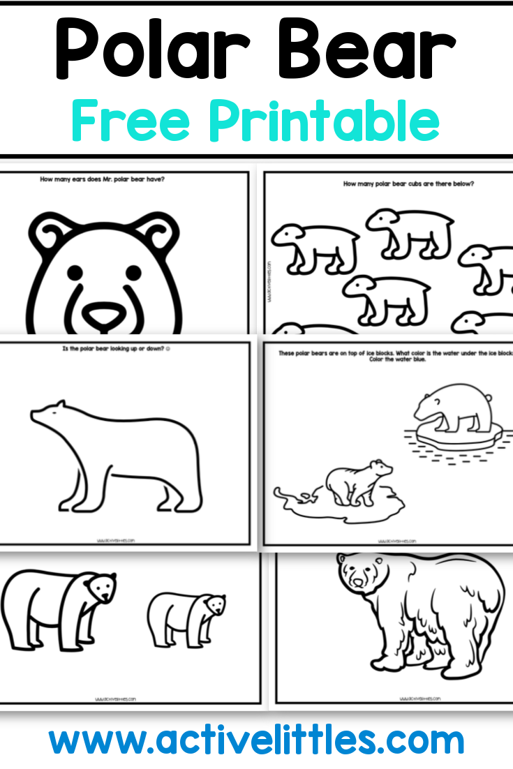 polar bear printable template