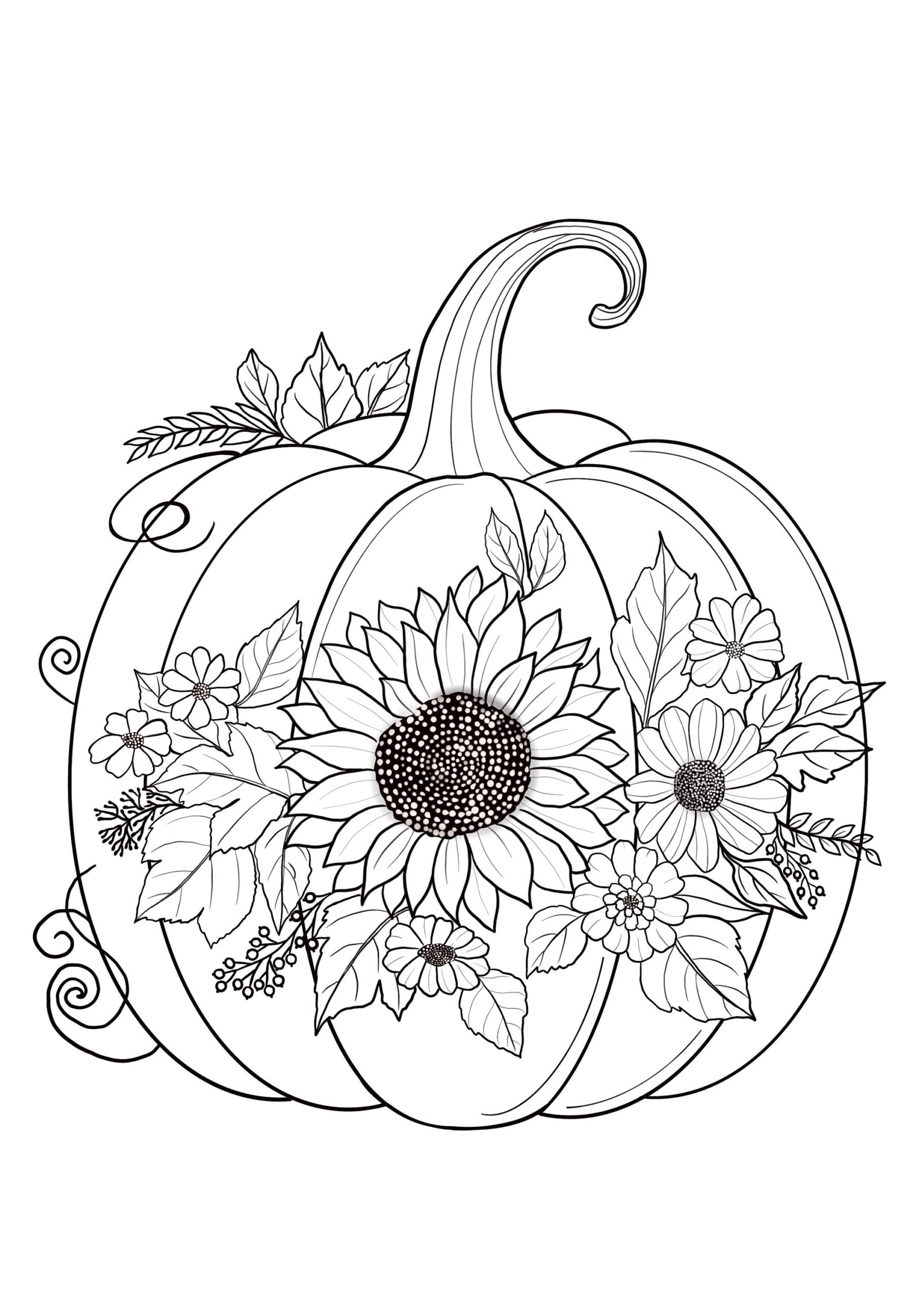 pumpkin coloring sheet printable