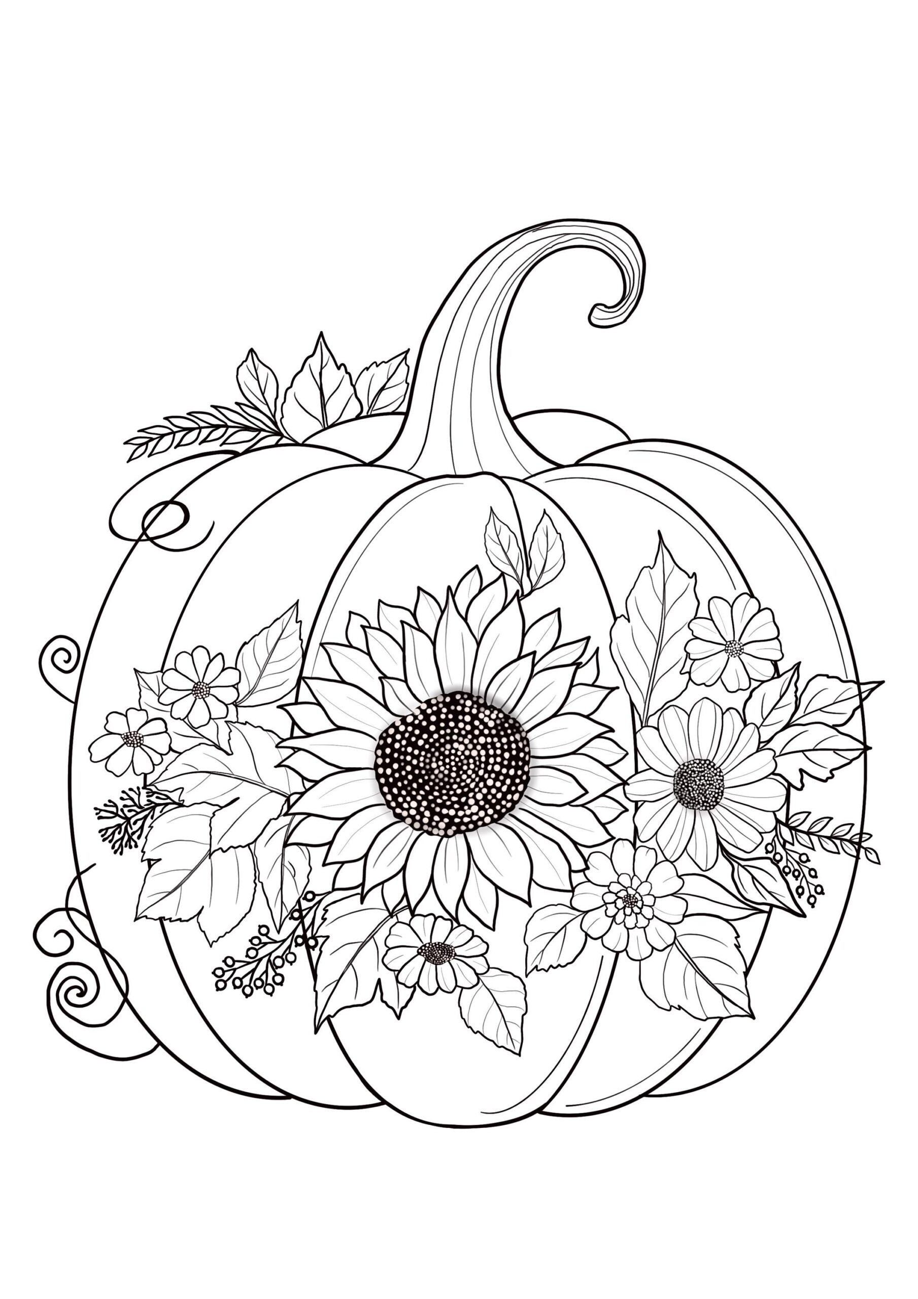 pumpkin color sheet printable
