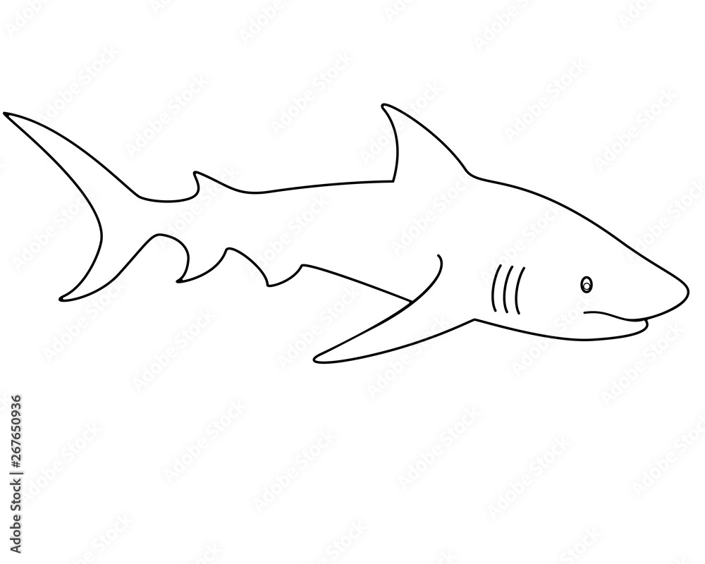 printable shark template