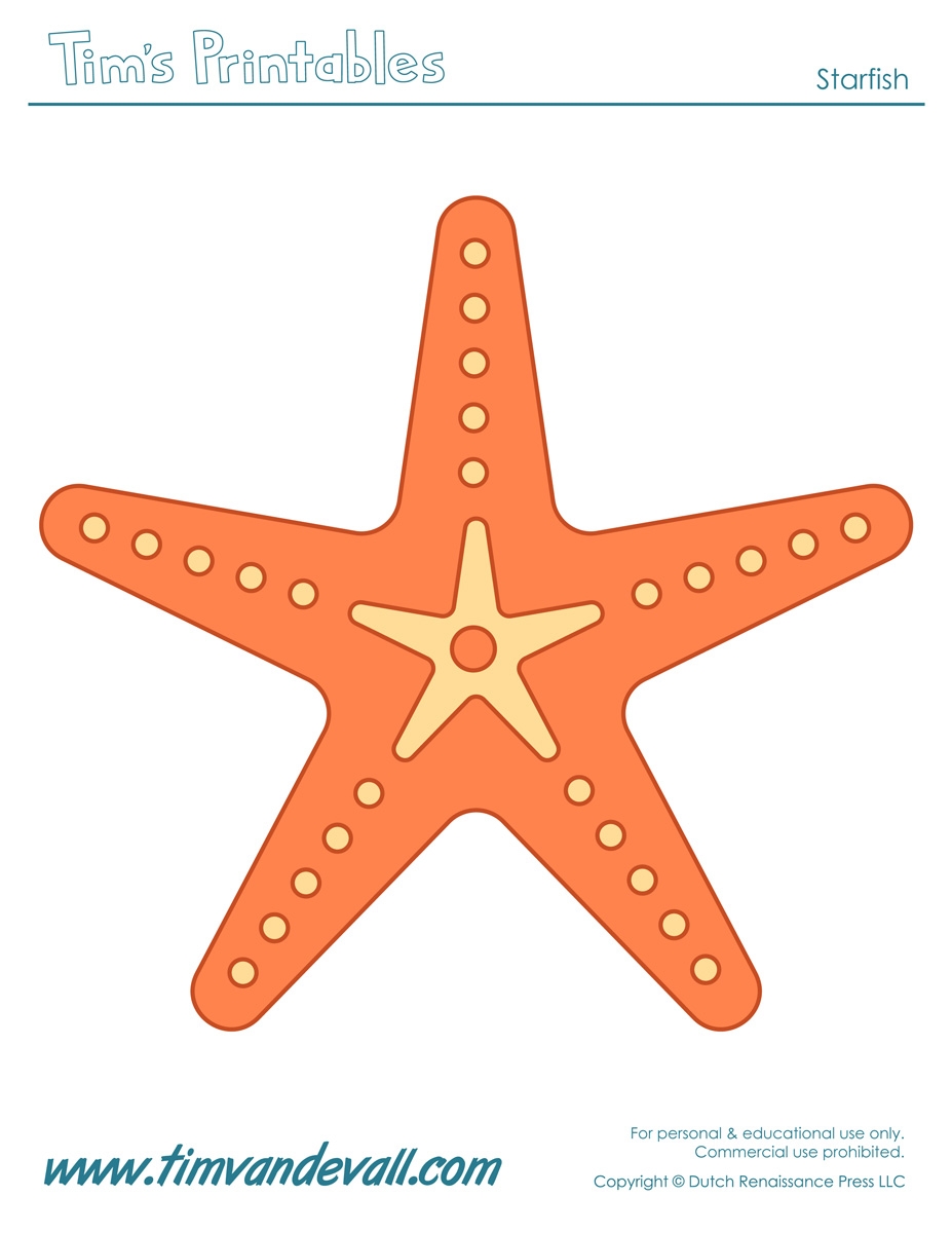 Starfish Template Tim s Printables