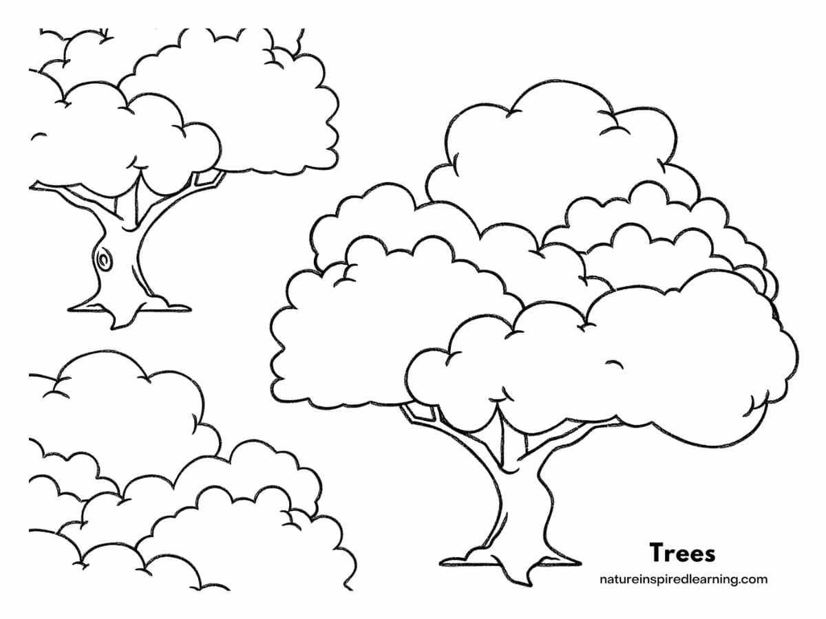 Tree Coloring Pages Nature Inspired Learning